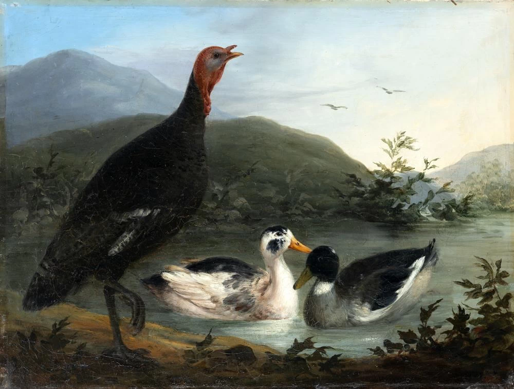 Uccelli di palude